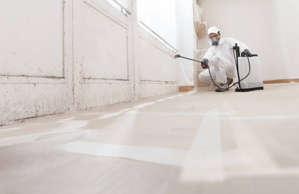 24/7 Emergency Mold Remediation experts in Monroe Township, NJ