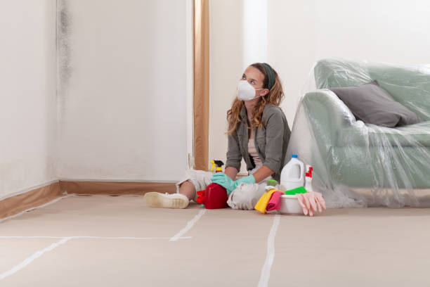 Reliable Mold Remediation contractor in Monroe Township, NJ by Cheap Mold Removal